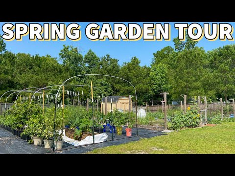 Видео: Millennials and Gardening: Шинэ мянганы цэцэрлэгжүүлэлтийн чиг хандлагын талаар мэдэж аваарай