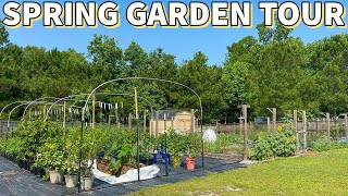 MASSIVE Spring GARDEN TOUR: You Won't Believe The Growth!