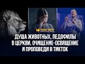 Душа животных, педофилы в церкви, проповеди в ТикТок | Редакторский выпуск - 97 "Библия говорит"