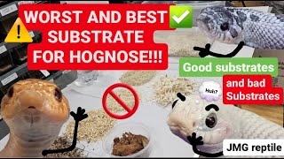 The WORST & BEST substrate / bedding for HOGNOSE & other snakes. #colubrids #hognosesnake #reptiles