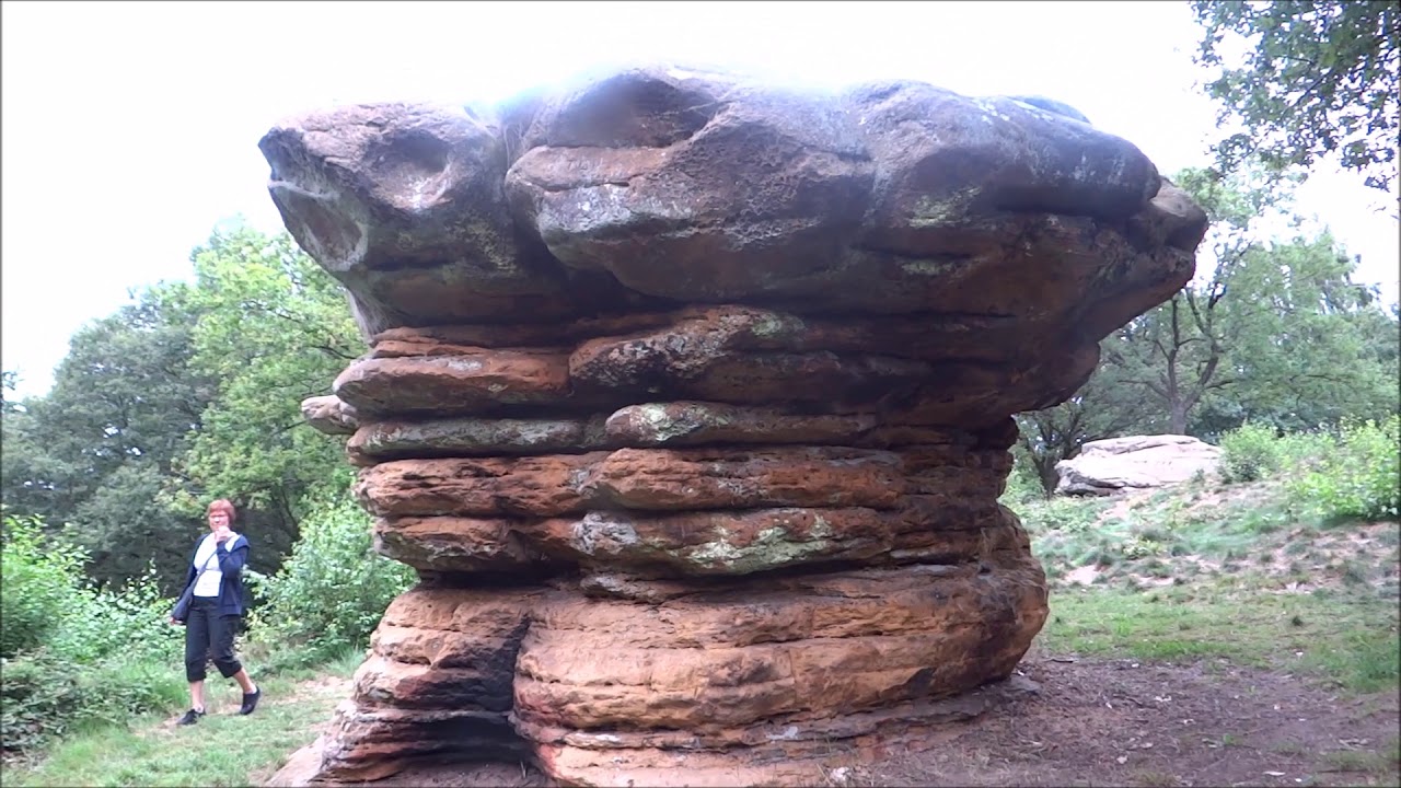 De Champignon te Nommern