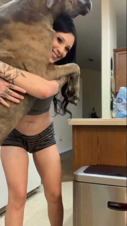 #therapy #hug #depression #anxiety #stress #dog #puppy #greatdane #animal #pet