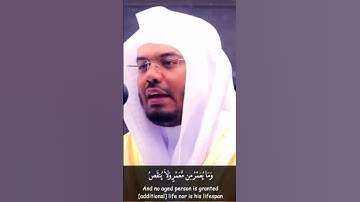 سورة فاطر آية ١١ للشيخ د ياسر الدوسري #explore #religiousbeliefs #religiousviews #beliefsystem