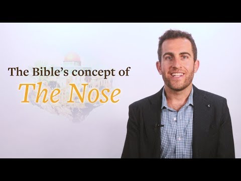 The Bible&rsquo;s concept of The Nose. Biblical Hebrew insight by Professor Lipnick