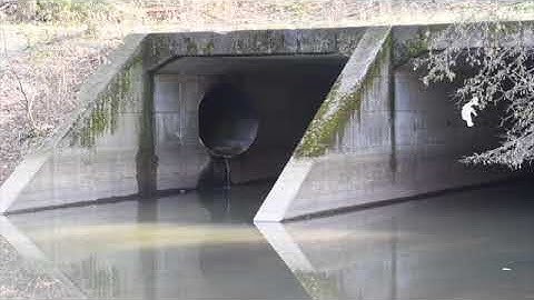 Waste Water Overflow Into Chedoke Creek