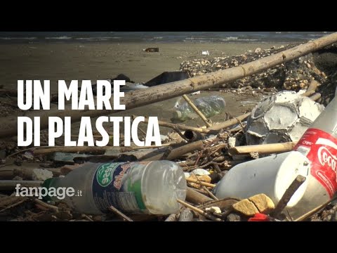 Video: Studio: Gli Oceani Conterranno Più Plastica Dei Pesci Entro Il 2050 - Matador Network