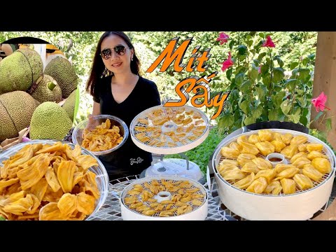 Video Cách Ép Sấy Mít Khô Đơn Giản Rất Dẻo Bằng Máy Sấy... - youtube