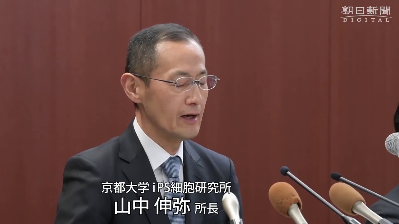山中所長 強く後悔 反省 京大ｉｐｓ研の論文不正 Youtube