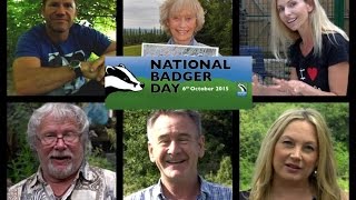 National Badger Day Trailer - Save The Badgers