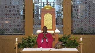 Daily Mass June 29, 2026
