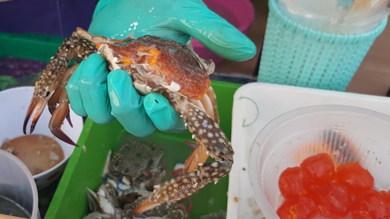 ปูไข่ล้น ป้ากบยำ3แซบ ยำป้ากบ ประจวบ คลิปล่าสุด Pa Kob Yum Sam Zap