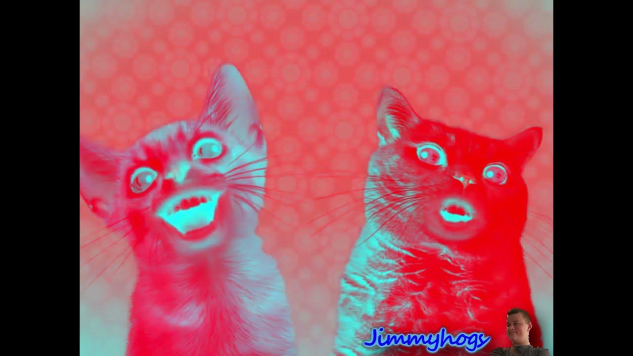 Preview 2 numa cat effects. Preview 2 in el numa cat v4 effects.