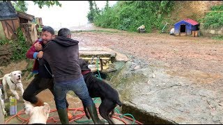 CANECORSO NARKOZ ZAFER’İ GELDİĞİNE BİN PİŞMAN ETTİ :))