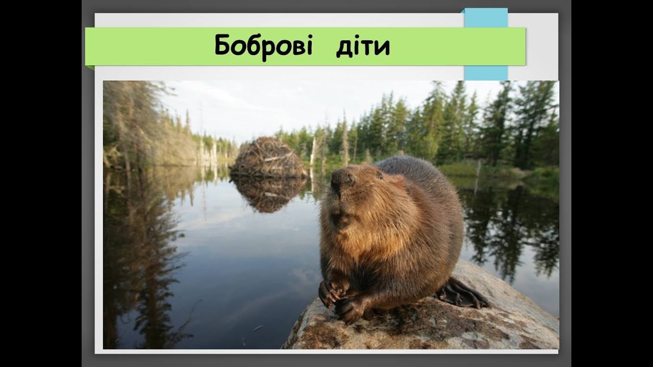 Колядники переказ