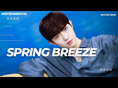 KIM JAE HWAN (김재환) - 봄바람 (Spring Breeze)   [ INSTRUMENTAL ]
