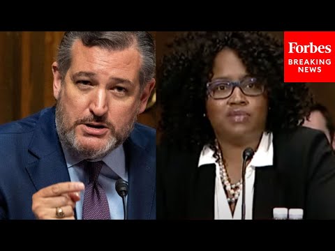 'You Think The Entire State Of Texas Is Racist?': Ted Cruz Grills Dem Witnesses On Voter ID Laws