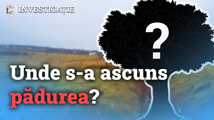Ce, cât și cum sădim ca să avem rezultat? Lecții de învățat pentru plantări reușite