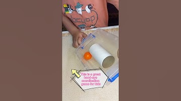 DIY Toilet Paper Tube Mini Maze #toiletpaperrollcrafts #diymaze #youtubeshorts #shorts