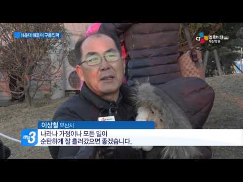 2016, 새해가 밝았다(CJ헬로비전 부산방송)