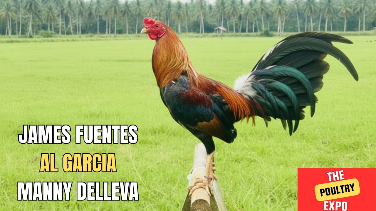 WGE 2026 | James Fuentes | Al Garcia | Manny Delleva