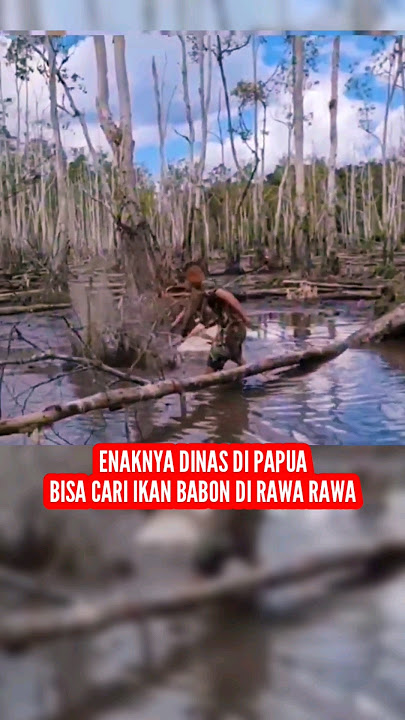 Anggota TNI Cari Lauk Ikan di Papua Hanya Pakai Sebatang Kayu