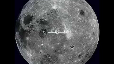 ﴿ ذلِكَ مِن أَنباءِ الغَيبِ نوحيهِ إِلَيكَ ﴾ القارئ : عبدالعزيز الزهراني