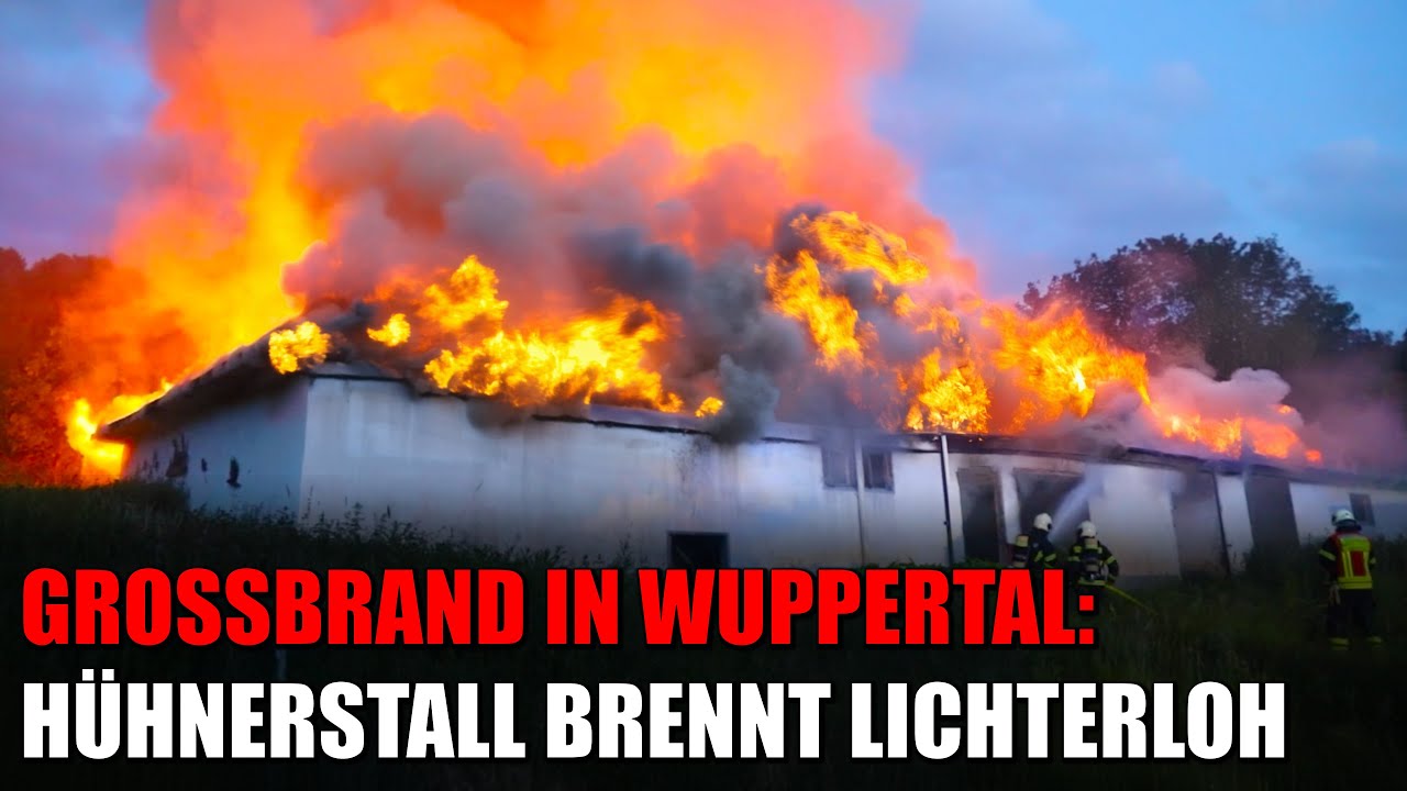 Großbrand in Wuppertal: Hühnerstall brennt lichterloh | 05.06.2024