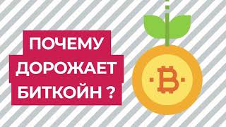 Интернет-омбудсмен объяснил, почему биткойн не подвержен инфляции