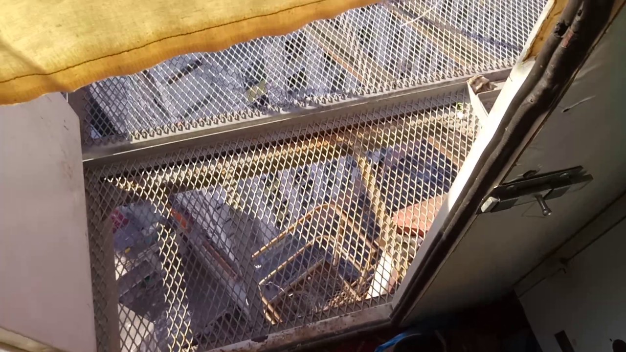 Башенный кран QTZ 80