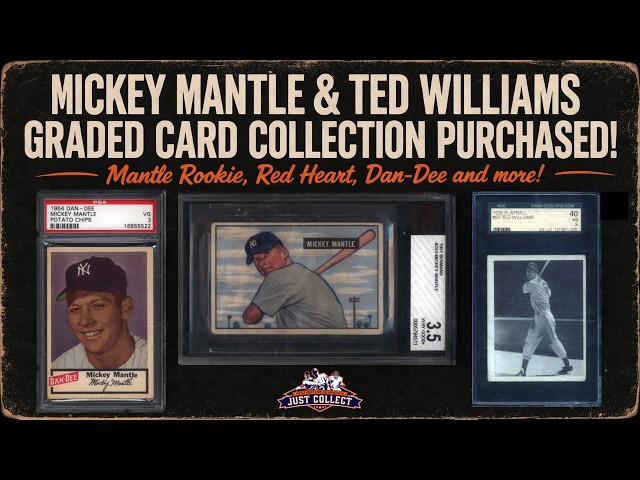 Mickey Mantle Rookie, Red Heart, Dan-Dee & More! INSANE Mantle & Ted  Williams Graded Card Collection