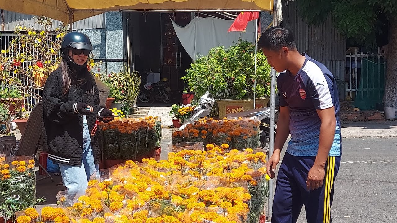 Cập Nhật giá hoa kiểng chợ hoa Cao Lãnh Tết 2026