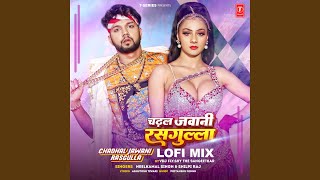 Download Lagu Chadhal Jawani Rasgulla Lofi Mix (Remix By Vdj Fly,Sky The Sangeetkar) MP3