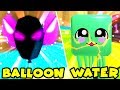 BALLOON AND WATER EGG LEGENDARIES! (Shiny Jellyfish & Balloon Phoenix) | Roblox Bubble Gum Simulator