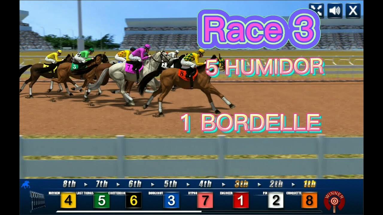 Состязание звезд скачки лошади. Игры про лошадей. Лошадь гоночной. Жокей скачки. Horse race script.