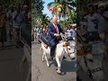 Wait for end 😂😎 USA Shorts Creator. 🐴😂🇺🇸