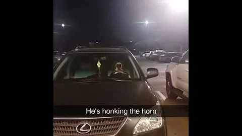 Pug Honking Horn