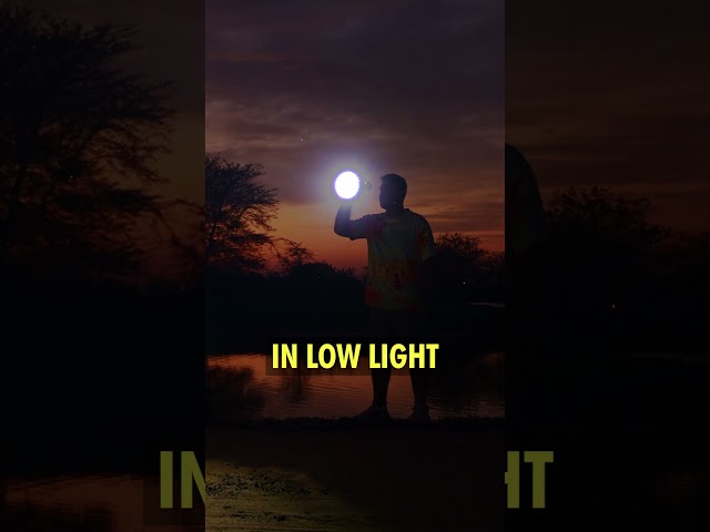 Blue Light Hurts Your Eye Health! #eyehealth #brainhealth #supplements