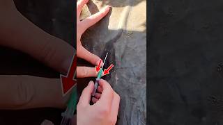 How to Place IV Catheter 😷 #goodtoknow #vet #medicine #funfacts #lifehacks #surgery #techniques