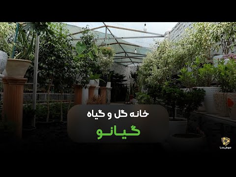 Khaneh Gol & Giyah Giano | خانه گل و گیاه گیانو