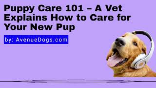 Puppy Care 101 - A Vet Explains How to Care for Your New Pup