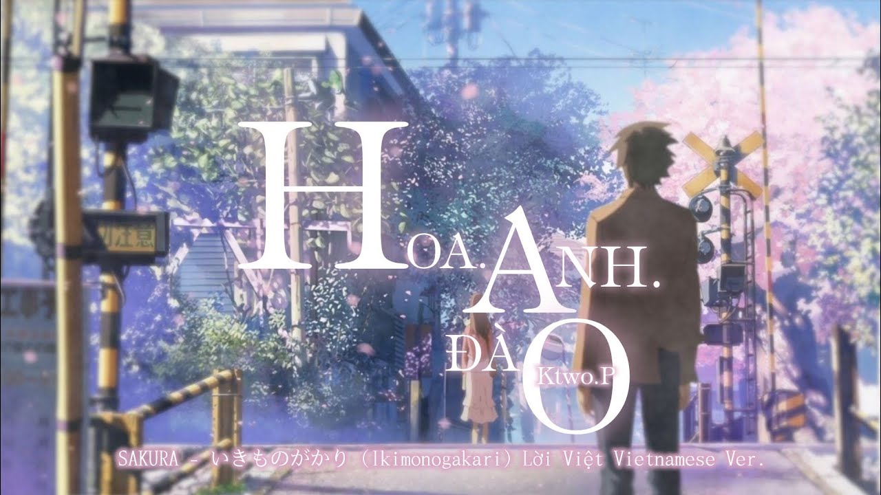 【SAKURA - いきものがかり (Ikimonogakari) Lời Việt Vietnamese Ver.】HOA.ANH.ĐÀO - Ktwo.P