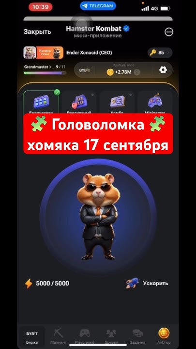 Головоломка 17 сентября в хомяке - YouTube
