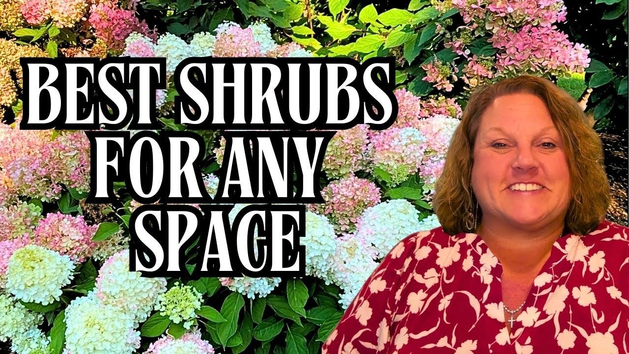 Кусты идеального размера для любого ландшафта | Варианты маленьких, средних и больших размеров 🌿✨