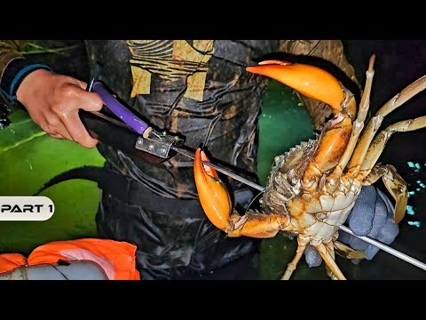 P1 - JACKPOT SA PAMAMANA NG ALIMANGO