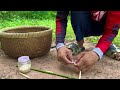 Trap post  how to make a pigeon trap using wooden basket