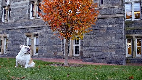 Fall at Georgetown University