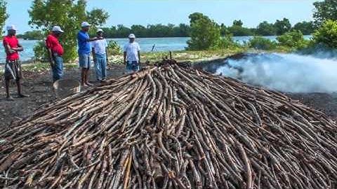 LTPR Module 9 Part 3: Case Studies - Formal and Informal Dispute Resolution