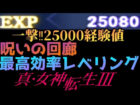 真・女神転生Ⅲ NOCTURNE~◆攻略解説◆最高効率レベリング‼一撃25000経験値をGETするレベル上げin呪いの回廊‼