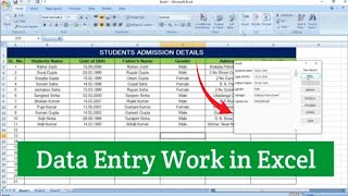 Data Entery Work In Excel | How To Data Entery Work In Excel screenshot 2