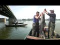 Alasi sa Dunava kod Beograda - Renato Grbić - Lov soma kod Beograda | Fishing catfish